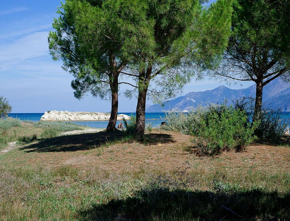 Residence Suarella Saint-Florent  Exteriör bild